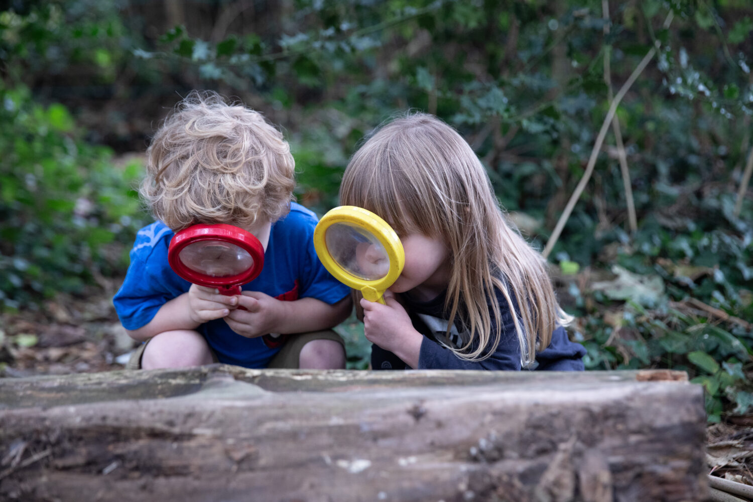 Children learning and playing outside