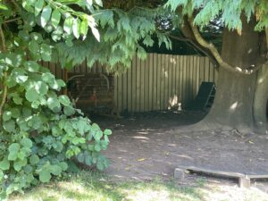 refurbished garden at Playbox