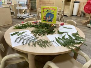 Brand new baby room expansion at Playbox