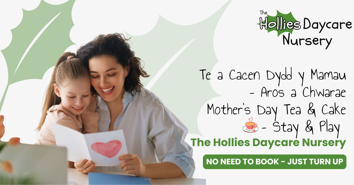 Stay & Play The Hollies (2)