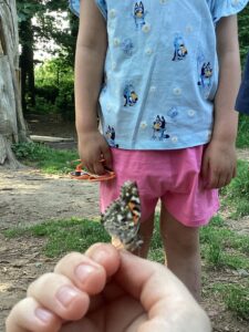 Children in the garden with a butterfly at Happy Days Penair